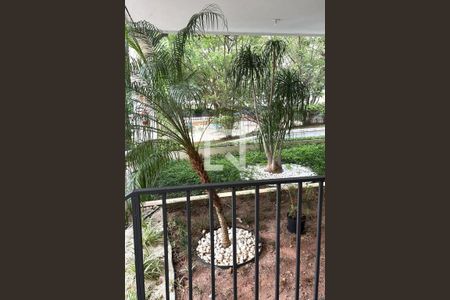 Apartamento à venda com 3 quartos, 72m² em Jardim Londrina, São Paulo