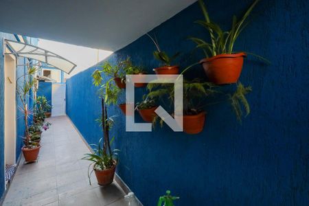 Corredor entrada  de casa à venda com 4 quartos, 200m² em Jardim Umuarama, São Paulo