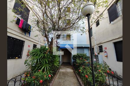 Fachada do bloco de apartamento à venda com 2 quartos, 60m² em Conjunto Residencial José Bonifácio, São Paulo