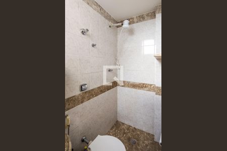 Banheiro da Suíte de apartamento para alugar com 2 quartos, 75m² em Santo Antônio, Belo Horizonte