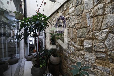 jardim de inverno de casa à venda com 4 quartos, 300m² em Vila Assunção, Santo André