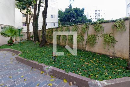 Área comum - Jardim de apartamento à venda com 4 quartos, 145m² em Parque Tomas Saraiva, São Paulo
