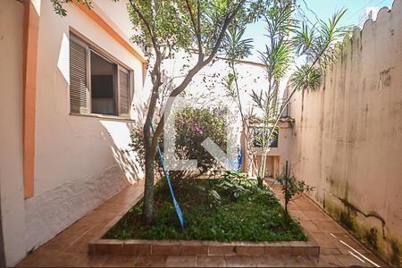Casa à venda com 3 quartos, 115m² em Santa Terezinha, São Bernardo do Campo