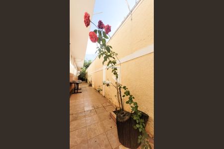 Corredor lateral de casa à venda com 4 quartos, 460m² em Parque Taquaral, Campinas