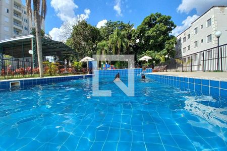 Área comum - Piscina de apartamento para alugar com 2 quartos, 50m² em Jardim Nova Europa, Campinas