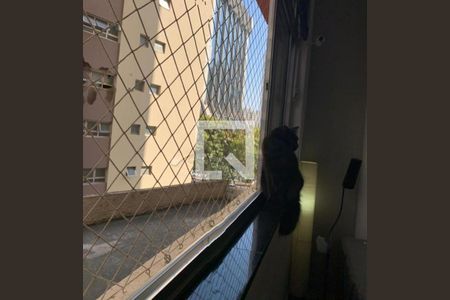 Apartamento à venda com 1 quarto, 51m² em Vila Mariana, São Paulo