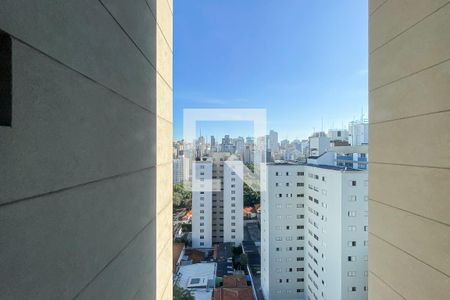 vista Quarto 3 de apartamento para alugar com 3 quartos, 170m² em Vila Mariana, São Paulo