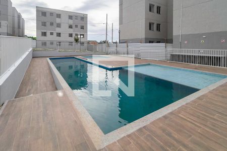 Área comum - Piscina de apartamento à venda com 2 quartos, 49m² em Bom Jesus, Contagem