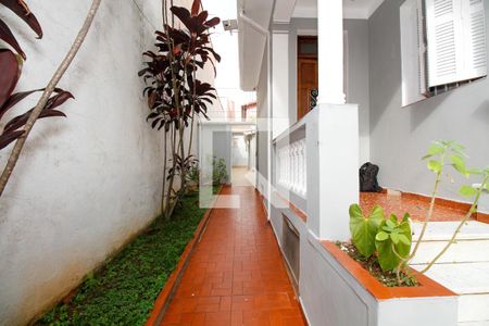 Jardim de casa à venda com 2 quartos, 196m² em Sumaré, São Paulo