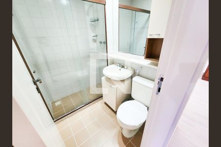 Banheiro de apartamento para alugar com 2 quartos, 60m² em Flamengo, Rio de Janeiro