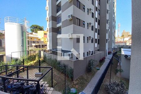 Vista da sala de apartamento para alugar com 2 quartos, 48m² em Jardim Itatiaia, Campinas