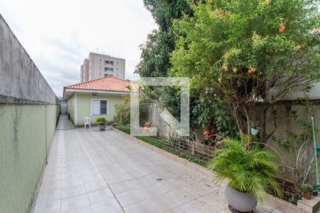 Quintal de casa à venda com 3 quartos, 141m² em Vila Mazzei, São Paulo