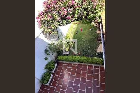Foto 18 de casa à venda com 3 quartos, 185m² em Caxingui, São Paulo