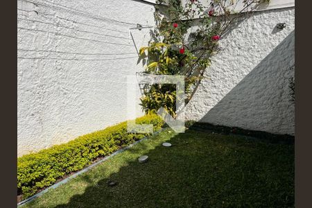 Foto 30 de casa à venda com 3 quartos, 185m² em Caxingui, São Paulo