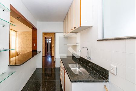 Cozinha de apartamento à venda com 3 quartos, 250m² em Santa Lúcia, Belo Horizonte