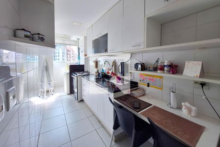 Cozinha de apartamento para alugar com 2 quartos, 78m² em Santa Rosa, Niterói