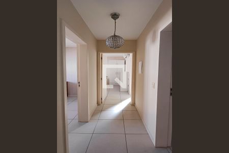 Corredor de apartamento para alugar com 2 quartos, 71m² em Bom Abrigo, Florianópolis