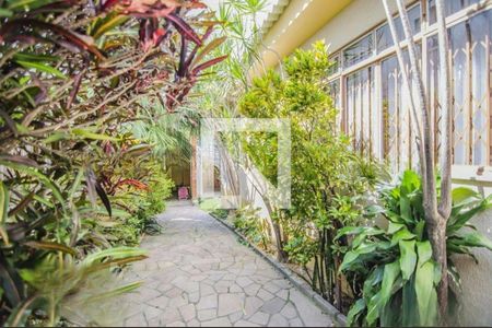 Casa à venda com 3 quartos, 209m² em Vila Ipiranga, Porto Alegre