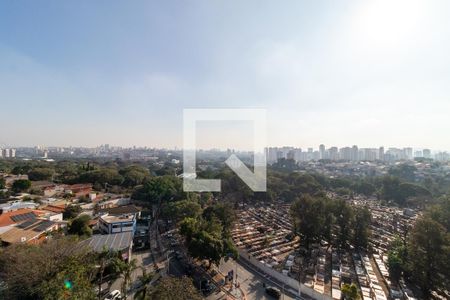 Vista da Varanda de apartamento para alugar com 2 quartos, 40m² em Boaçava, São Paulo