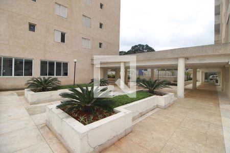Área Comum de apartamento à venda com 2 quartos, 54m² em Vila Pita, São Paulo