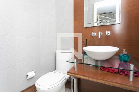 Lavabo de casa à venda com 5 quartos, 500m² em Chácara das Pedras, Porto Alegre