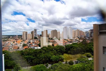 Foto 10 de apartamento à venda com 2 quartos, 202m² em Vila Monte Alegre, São Paulo