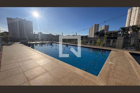 Área comum - Piscina de apartamento à venda com 2 quartos, 45m² em Parque Industrial, Campinas