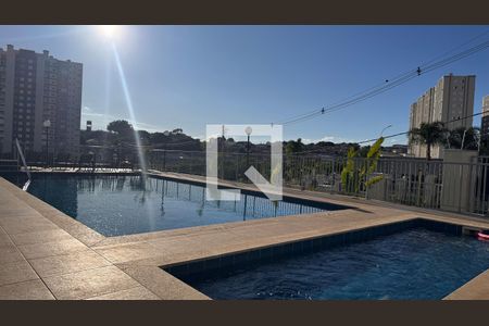 Área comum - Piscina de apartamento à venda com 2 quartos, 45m² em Parque Industrial, Campinas