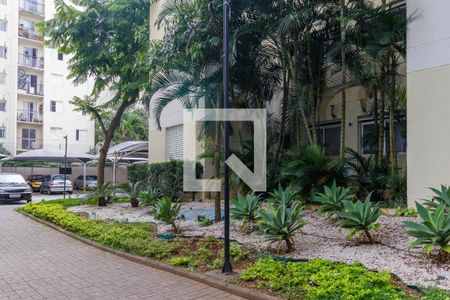 Área comum - Jardim de apartamento à venda com 2 quartos, 45m² em Vila Mendes, São Paulo