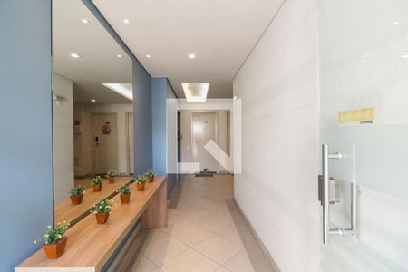 Condomínio - Hall de apartamento à venda com 3 quartos, 79m² em Vila Matilde, São Paulo