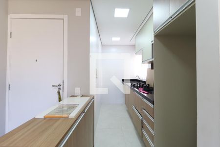 Cozinha de apartamento para alugar com 2 quartos, 41m² em Vila Santos, São Paulo