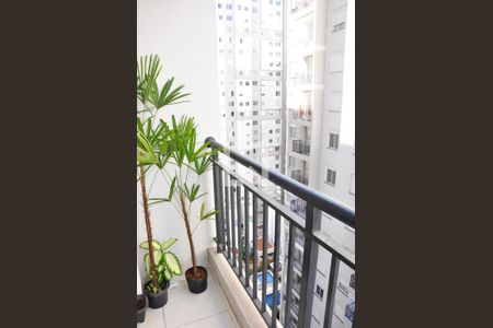 Detalhe - Varanda da Sala de apartamento para alugar com 2 quartos, 39m² em Vila Barreto, São Paulo