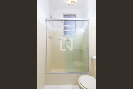 Banheiro social  de apartamento para alugar com 2 quartos, 59m² em Botafogo, Rio de Janeiro