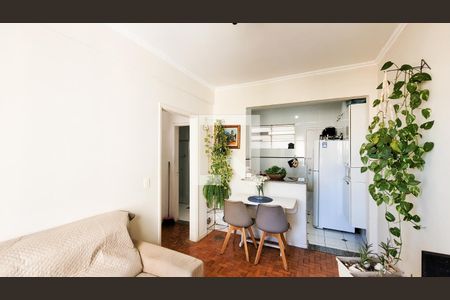 Sala de apartamento para alugar com 1 quarto, 46m² em Centro, Campinas