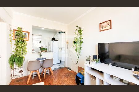 Sala de apartamento para alugar com 1 quarto, 46m² em Centro, Campinas