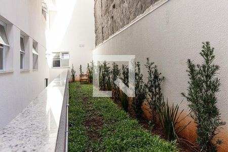 Jardim de kitnet/studio para alugar com 1 quarto, 21m² em Santa Ifigênia, São Paulo