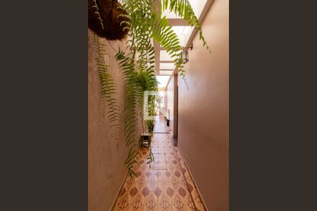 Corredor de casa à venda com 3 quartos, 167m² em Vila Salete, São Paulo