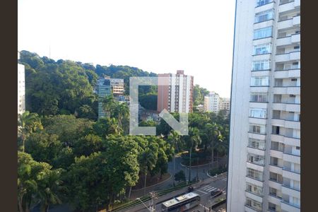 Vista da Sala/Quarto de apartamento para alugar com 1 quarto, 35m² em Centro, São Vicente