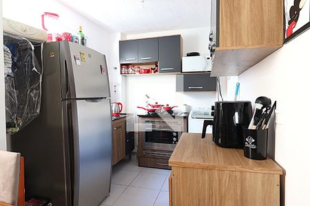 Cozinha de apartamento para alugar com 2 quartos, 55m² em Cecília, Viamão