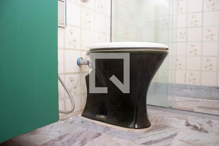 Banheiro da Suíte de apartamento à venda com 3 quartos, 127m² em São Lucas, Belo Horizonte