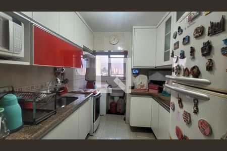 Apartamento à venda com 2 quartos, 55m² em Vila Santa Catarina, São Paulo