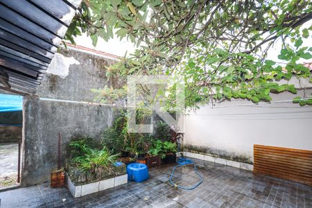 Quintal de casa à venda com 3 quartos, 500m² em Vila Brasilina, São Paulo