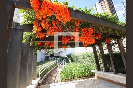 Área comum de apartamento para alugar com 3 quartos, 180m² em Panamby, São Paulo