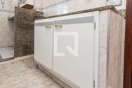 Cozinha - Armários de apartamento à venda com 2 quartos, 53m² em Penha Circular, Rio de Janeiro