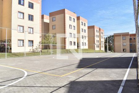 Área comum - Quadra de Esporte de apartamento para alugar com 2 quartos, 45m² em Barreirinha, Curitiba