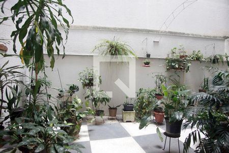 Área Comum - Jardim de Inverno de apartamento à venda com 2 quartos, 110m² em Floresta, Porto Alegre