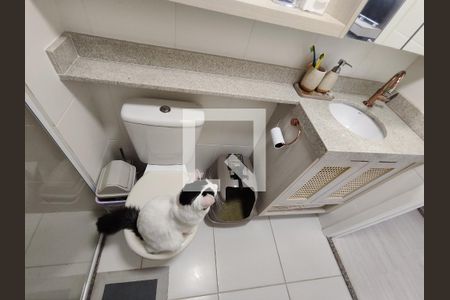 Banheiro de apartamento à venda com 2 quartos, 35m² em Conjunto Residencial José Bonifácio, São Paulo
