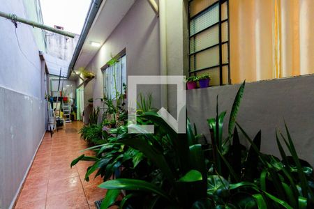 Quintal de casa à venda com 4 quartos, 180m² em Vila Carrão, São Paulo
