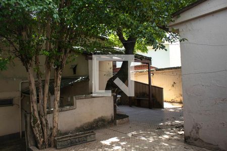 Quintal de casa à venda com 4 quartos, 300m² em Santo Antônio, Belo Horizonte