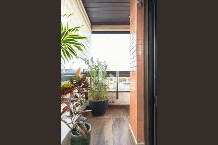 Suíte 1 de apartamento para alugar com 3 quartos, 225m² em Indianópolis, São Paulo
